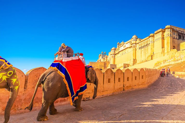 Golden-traingle-with-Amritsar​-5