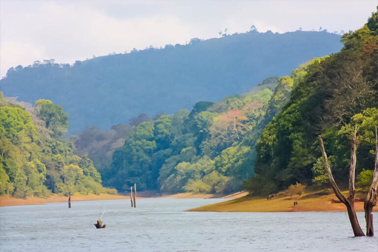 periyar-lake-1